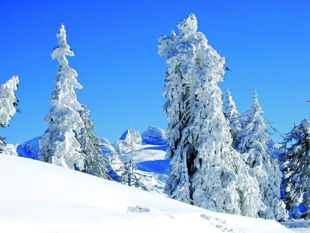 Landhaus Koller Gosau Dış mekan fotoğraf